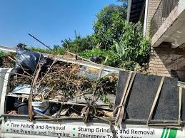 Best Estate Cleanout  in Mccook, NE